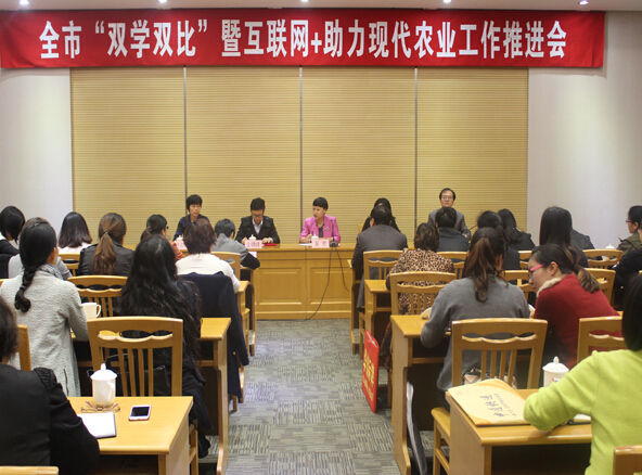 江蘇圣瀾參與雙學(xué)雙比推進(jìn)會(huì).jpg