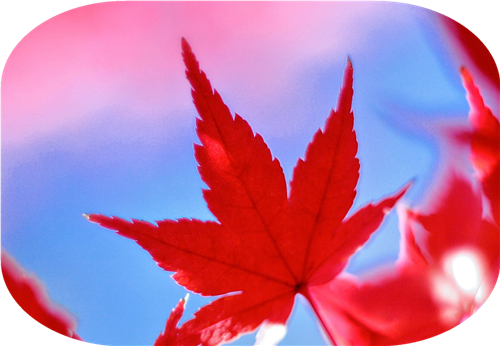有了她，冬天的愛變得格外溫暖！